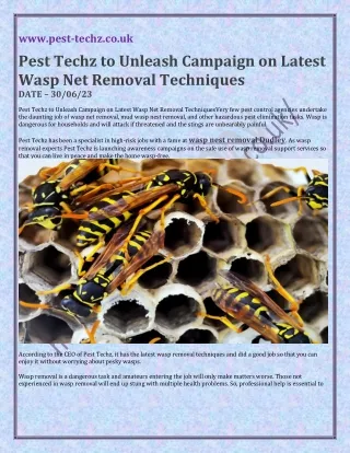 Pest Techz to Unleash Campaign on Latest Wasp Net Removal Techniques