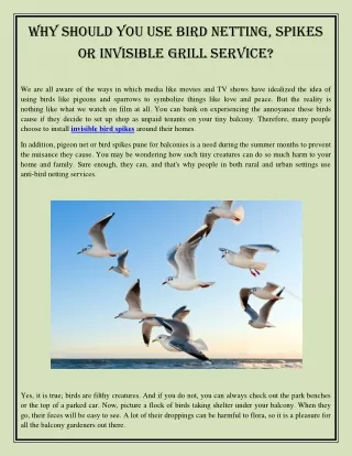 Why Should You Use Bird Netting, Spikes or Invisible Grill Service