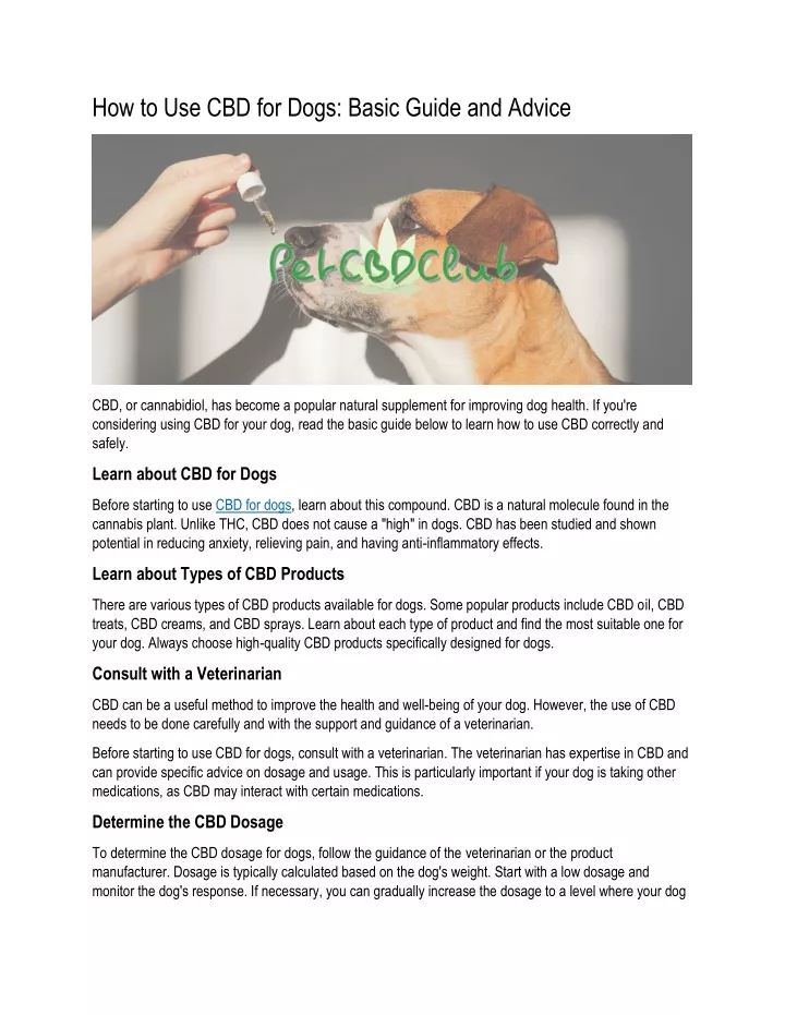 how to use cbd for dogs basic guide and advice