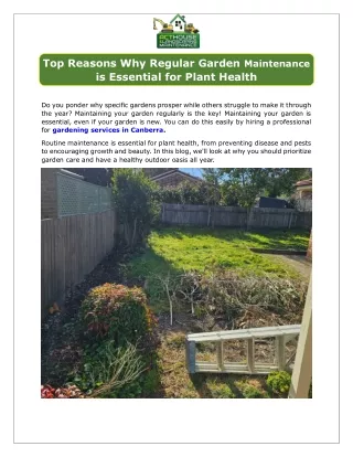 Top Reasons Why Regular Garden Maintenance is Essential for Plant Health
