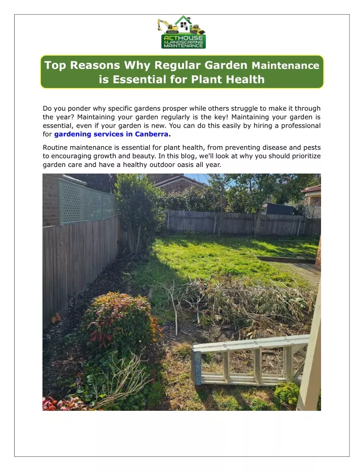 top reasons why regular garden maintenance