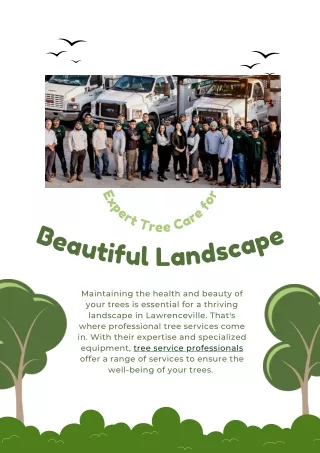 Expert Tree Care for a Beautiful Landscape