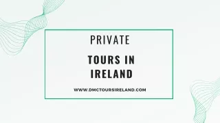 Panoramic Dublin City and Environs Tour