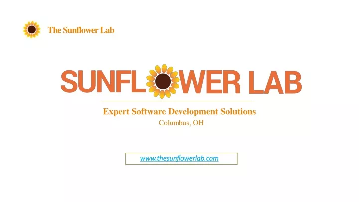 the sunflower lab