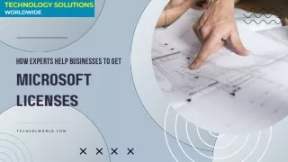 how experts help businesses to get