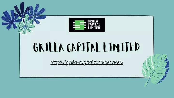 grilla capital limited grilla capital limited