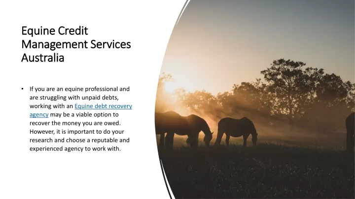 equine credit equine credit management services