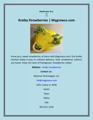 Kratky Strawberries  Mygrowco