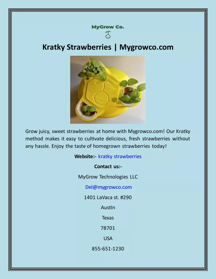 kratky strawberries mygrowco com
