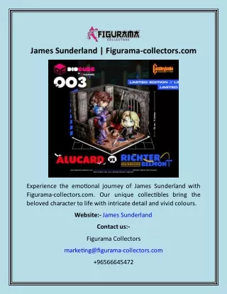 James Sunderland  Figurama-collectors