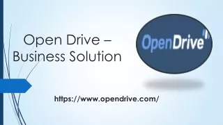 Open Drive- Business Solution