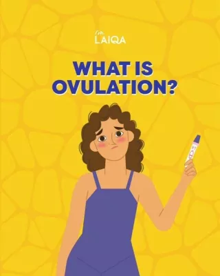 What is ovulation?