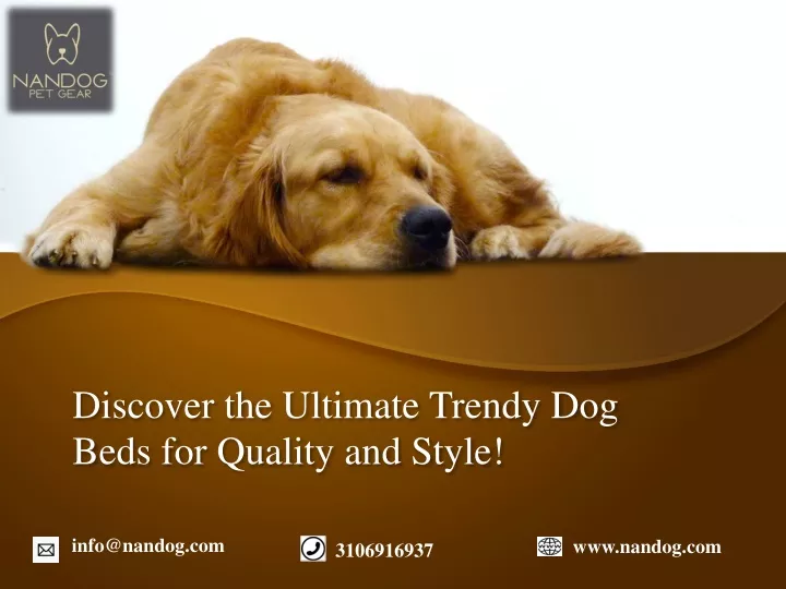 discover the ultimate trendy dog beds for quality and style