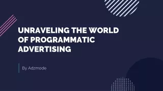 Unraveling the World of Programmatic Advertising