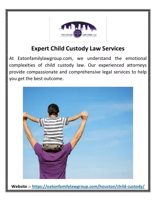 Expert Child Custody Law Services