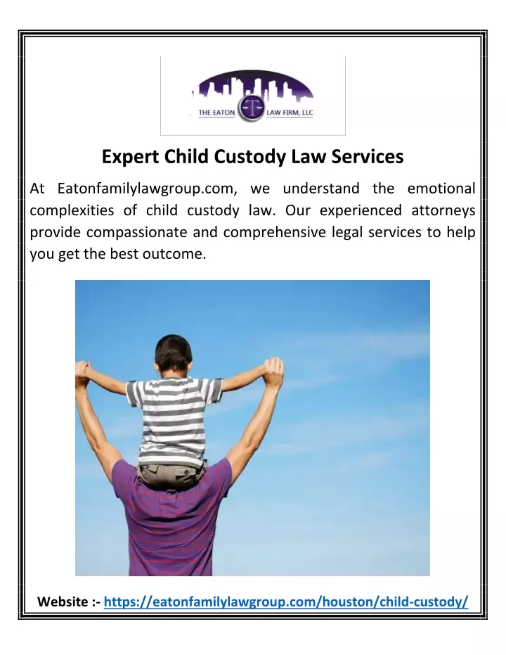Expert Child Custody Law Services N 