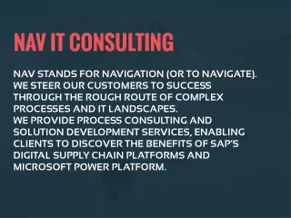 NAV IT Consulting and Implementation Service