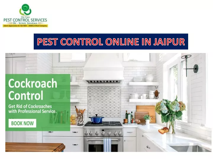 pest control online in jaipur