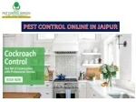 Pest Control Service - slide 1