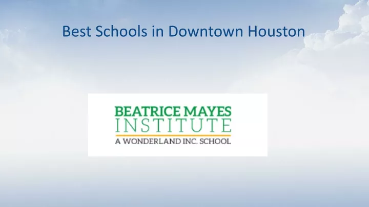 best schools in downtown houston