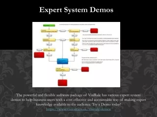 Expert System Demos