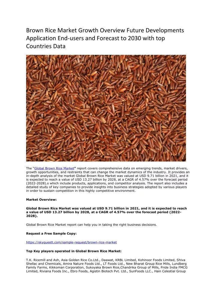 brown rice market growth overview future
