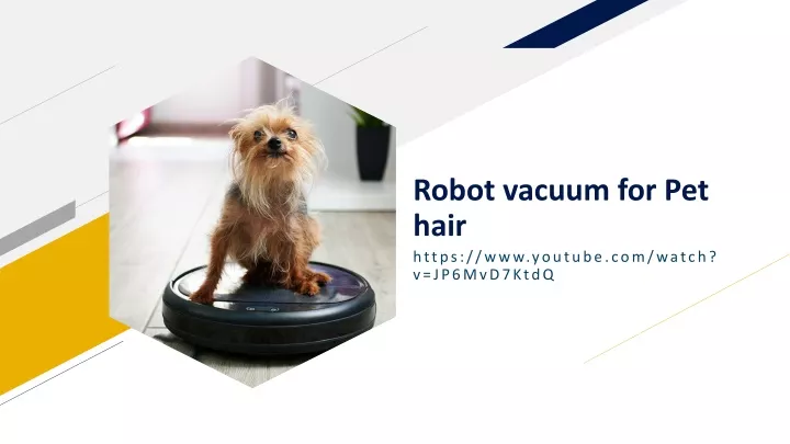 robot vacuum for pet hair