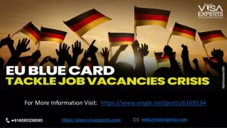 EU Blue Card to Tackle Job Vacancies Crisis