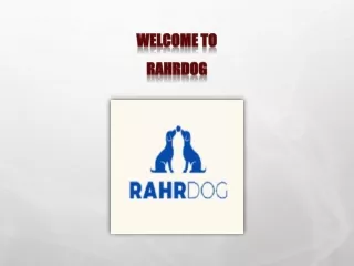 RahrdogBuy Rahrdog Ball | Dog Ball Saves Lives | Rahrdog