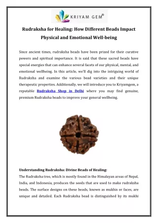 Rudraksha for Healing How Different Beads Impact Physical and Emotional Well-being