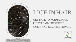 Lice in Hair - Say Goodbye to Lice