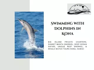 Book Your Trip for Swimming with Dolphins in Kona