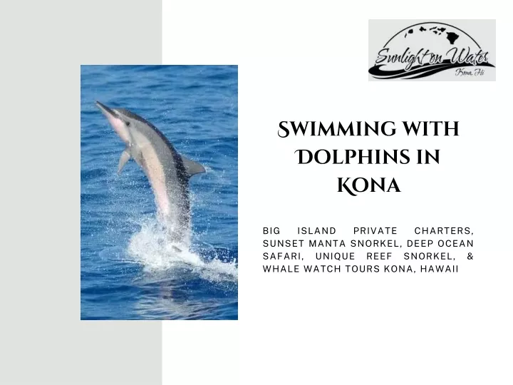 swimming with dolphins in kona