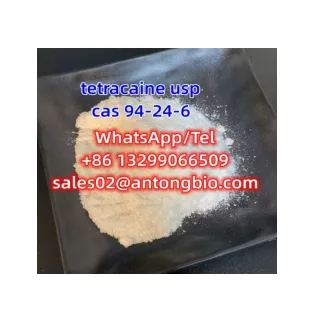 tetracaine usp CAS 94-24-6 C15H24N2O2 3