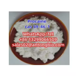 Procaine hcl CAS 59-46-1 C13H20N2O2 3