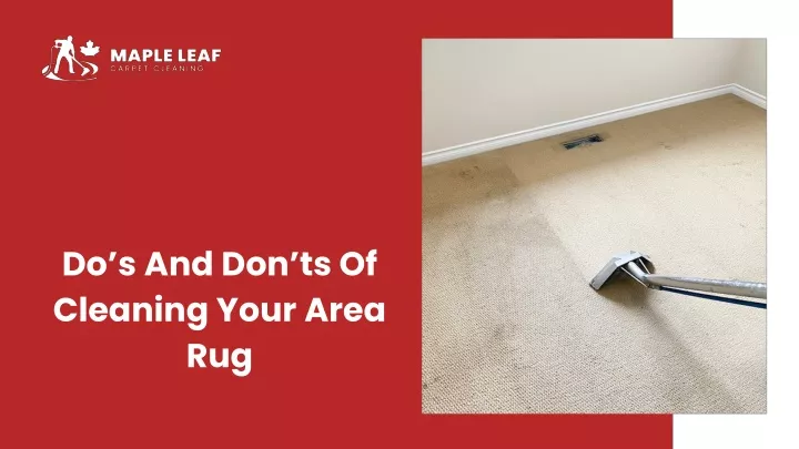 do s and don ts of cleaning your area rug