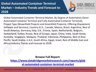 global automated container terminal market