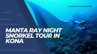 SUNLIGHT ON WATER - Manta Ray Night Snorkel Tour in Kona
