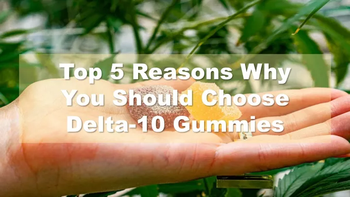 top 5 reasons why you should choose delta