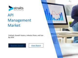 api management market