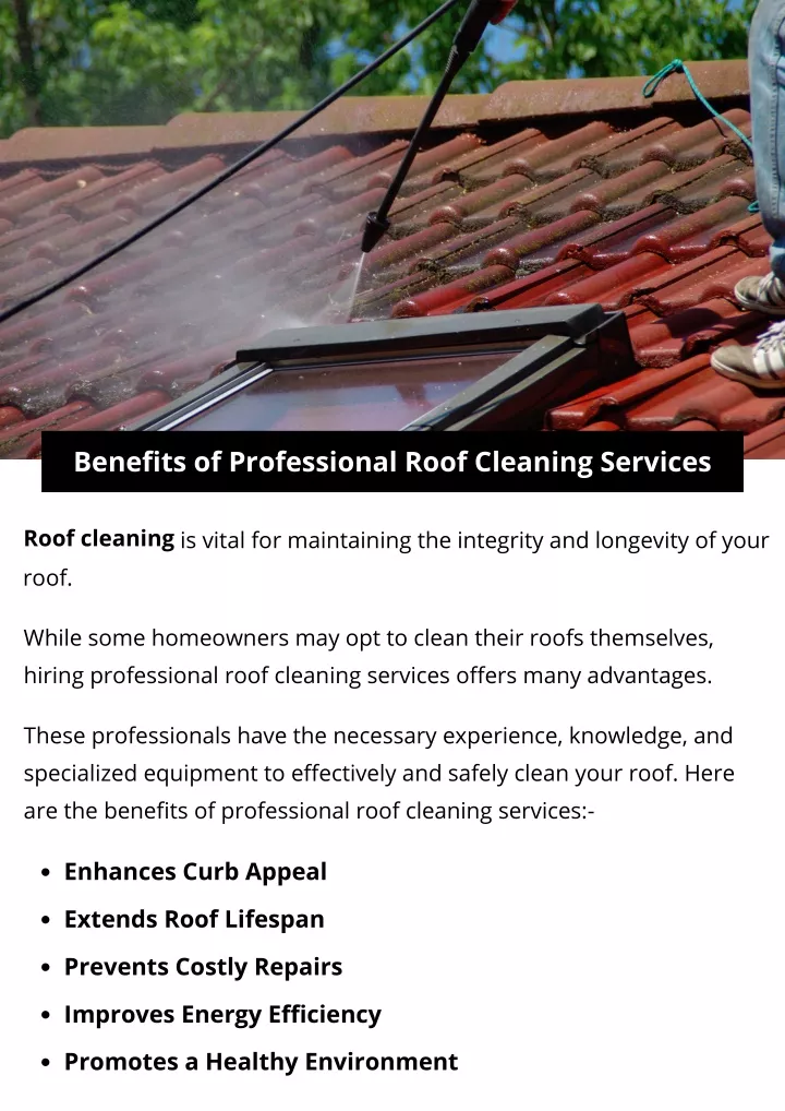 benefits of professional roof cleaning services