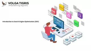Introduction to Search Engine Optimization (SEO) | Volga Tigris