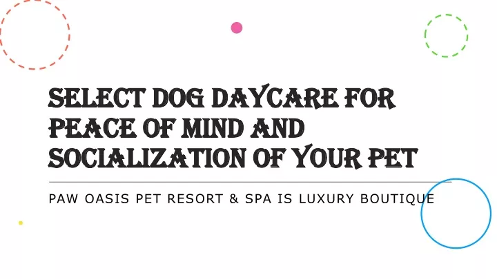select dog daycare for peace of mind and socialization of your pet