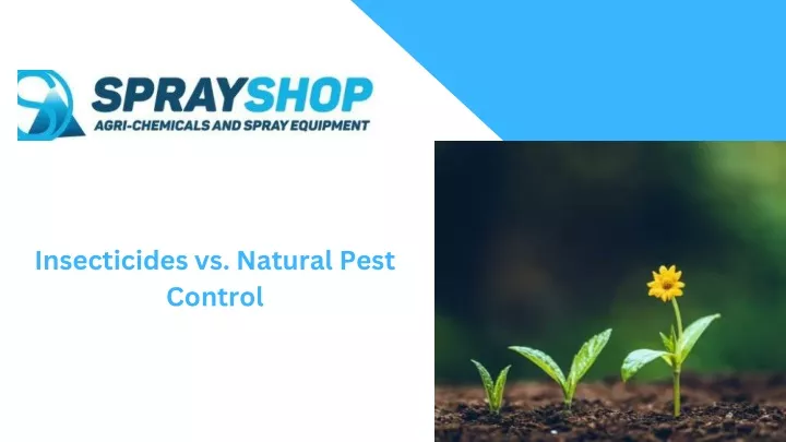 insecticides vs natural pest control