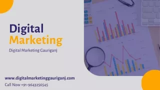 Professional Digital Marketing Gauriganj PPT