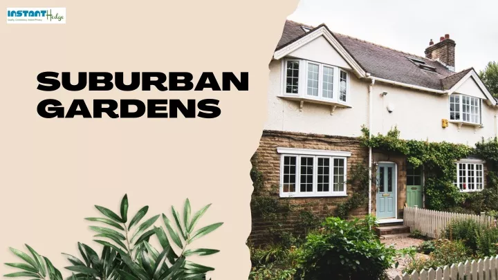 suburban gardens