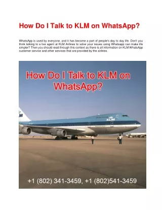 How Do I Talk to KLM on WhatsApp