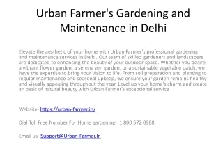Urban Farmer's Gardening and Maintenance in Delhi