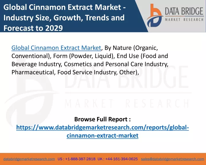 global cinnamon extract market industry size