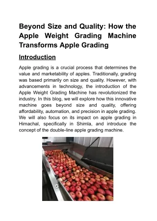 Beyond Size and Quality_ How the Apple Weight Grading Machine Transforms Apple Grading